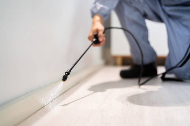 Licensed Fumigation Services service in Eastover, NC - Nex Pest Control