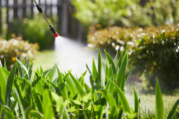 24/7 Emergency Fumigation Services experts in Eastover, NC